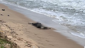 At least six bodies found drifting off Phu Quoc seaside