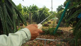 Nông dân Quảng Ngãi cải tiến thành công bộ tưới nước tự động 3 trong 1