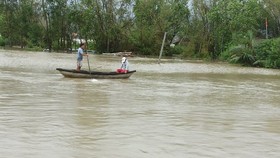 Quảng Ngãi: Lũ đang lên trên sông Trà Câu, khẩn cấp di dời dân