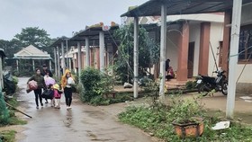 Hàng trăm người dân đảo Cồn Cỏ di tản xuống hầm trú bão