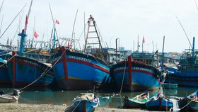 Quảng Ngãi: Hàng trăm tàu cá chưa xuất bến đầu năm vì luồng lạch bồi lấp
