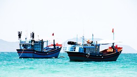 Ba ngư dân Quảng Ngãi tử vong khi khai thác hải sản chưa rõ nguyên nhân