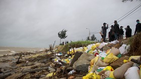 Quảng Ngãi: Người dân nỗ lực gia cố bờ biển đang bị xâm thực nghiêm trọng