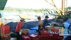 Nâng cao vai trò cộng đồng trong quản lý bảo vệ nguồn lợi thủy sản, chống khai thác IUU