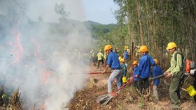 Đắk Nông chủ động phòng chống cháy rừng mùa khô 