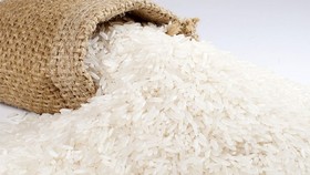 Giá gạo trắng của Việt Nam đang cao nhất thế giới