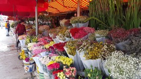 Chợ hoa Đầm Sen hoạt động tạm từ ngày 11-6 đến 13-6