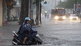 TPHCM gia tăng mưa cực đoan: Cần giải pháp tổng thể giảm thiểu thiệt hại 