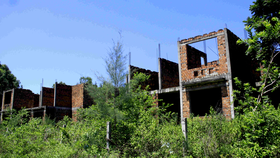 Khu nhà ở công nhân viên Nhà máy Đóng tàu Dung Quất bị bỏ hoang