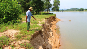 Nhiều diện tích đất ở bãi Soi, xã Tùng Ảnh, huyện Đức Thọ, tỉnh Hà Tĩnh đã bị cuốn sập, sạt lở nghiêm trọng