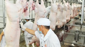 Chế biến thịt heo VietGAP cung ứng thị trường tại Công ty Vissan. Ảnh: CAO THĂNG