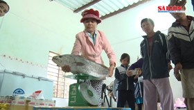Người dân bắt cá nặng hơn 6kg nghi là sủ vàng 