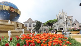 Bà Nà Hills trở thành một điểm đến hàng đầu ở Đà Nẵng