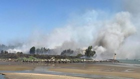 Kịp thời dập tắt đám cháy lớn trên bán đảo Sơn Trà 