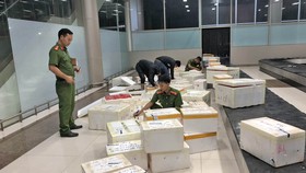 Bắt giữ hơn 600 thùng dâu tây nghi của Trung Quốc nhập lậu vào Đà Lạt qua đường hàng không
