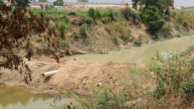 Đình chỉ công ty khai thác cát đắp đập, ngăn sông gây ô nhiễm trên sông Đa Nhim