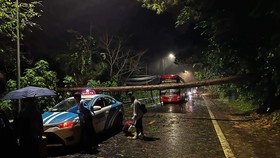 Mưa to, gió lớn, thông đổ vắt ngang đèo Prenn