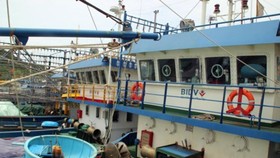 Tàu vỏ thép hư hỏng nằm bờ nhiều tháng trời tại cảng Đề Gi (huyện Phù Cát, Bình Định)