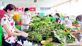 Điểm sơ chế rau của HTX Phước An, huyện Bình Chánh, TPHCM