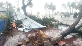 Biển Đông đối mặt với “cơn bão khủng” Mangkhut