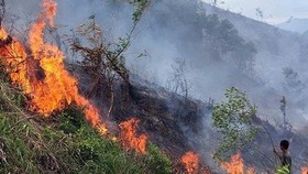 Nguy cơ cháy rừng rất cao tại nhiều địa phương
