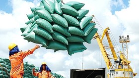 Lập đoàn kiểm tra thực tế lượng gạo xuất khẩu