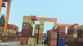 Kêu cứu vì 58 container hồ tiêu xuất khẩu đang mắc kẹt