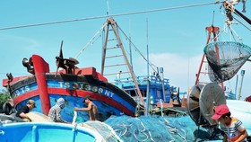 Khai thác hải sản đòi hỏi phải có xác nhận nguồn gốc nguyên liệu khai thác (S/C) theo quy định. Ảnh theo Báo Ninh Thuận