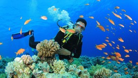 Tăng thêm diện tích khu bảo tồn biển Việt Nam
