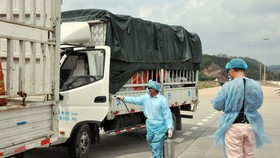 Trung Quốc tạm dừng nhập khẩu thanh long Việt Nam tại cửa khẩu Móng Cái