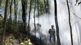 Tây Nguyên và Nam bộ có nguy cơ cháy rừng vì nắng nóng