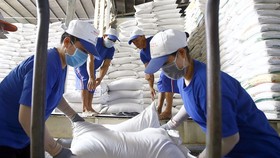 Gạo Việt Nam tăng tốc xuất khẩu sang ASEAN