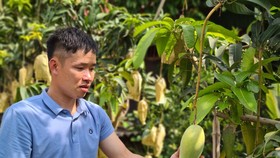 Nắng nóng tại Trung bộ