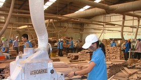 Gỗ dán Việt Nam bị Hoa Kỳ nghi ngờ nhập nguyên liệu Trung Quốc