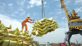 Từ năm 2023, các tỉnh sẽ cạnh tranh bằng chỉ số FTA