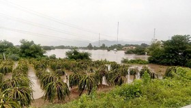 Bình Thuận: Mưa lũ gây ngập trên 100 căn nhà