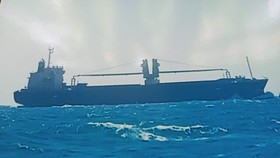 Tàu hàng WHITE TO MONY được ngư dân trên tàu cá gặp nạn chụp lại.