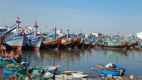 Bình Thuận chấn chỉnh các tàu cá và phương tiện thủy nội địa.