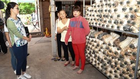 Thăm hộ gia đình nhận vốn vay từ Quỹ hỗ trợ giảm nghèo tại huyện Củ Chi, TP.HCM.