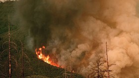 Khói lửa bốc lên từ đám cháy rừng ở vườn quốc gia Yosemite, bang California, Mỹ. Nguồn: AFP/TTXVN