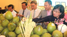Dừa xiêm xanh Bến Tre được chứng nhận chỉ dẫn địa lý  tạo hướng ra cho ngành dừa