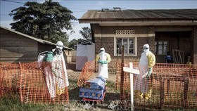 Nhân viên y tế phun thuốc khử trùng xung quanh quan tài một bệnh nhân tử vong do Ebola tại Beni, CHDC Congo. Ảnh: AFP/TTXVN