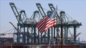 Container hàng hóa được xếp dỡ tại cảng Long Beach, Los Angeles, Mỹ. Ảnh: AFP/TTXVN