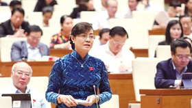 Đại biểu Quốc hội Nguyễn Thị Quyết Tâm (TPHCM)  phát biểu tại kỳ họp. Ảnh: TTXVN