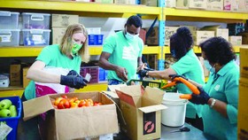 Tình nguyện viên Lost Food Project phân loại thực phẩm  tươi sống trước khi gửi các đối tác từ thiện