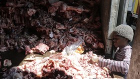 Một người phụ nữ Brazil bới tìm thức ăn trong đống xác động vật bỏ đi trên xe tải chở đến một nhà máy sản xuất thức ăn cho vật nuôi và xà phòng. Ảnh: Agencia O Globo