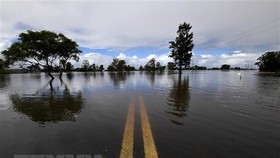 Cảnh ngập lụt tại khu vực Lawrence, New South Wales, Australia, ngày 1-3. Ảnh: AFP/TTXVN