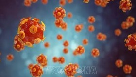 Hình ảnh mô phỏng virus gây bệnh viêm gan. 