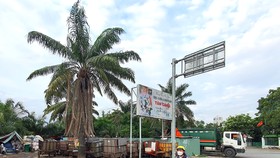 Bô rác trước cổng khu du lịch