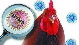 Nhiều chủng virus cúm mới lạ đang rình rập